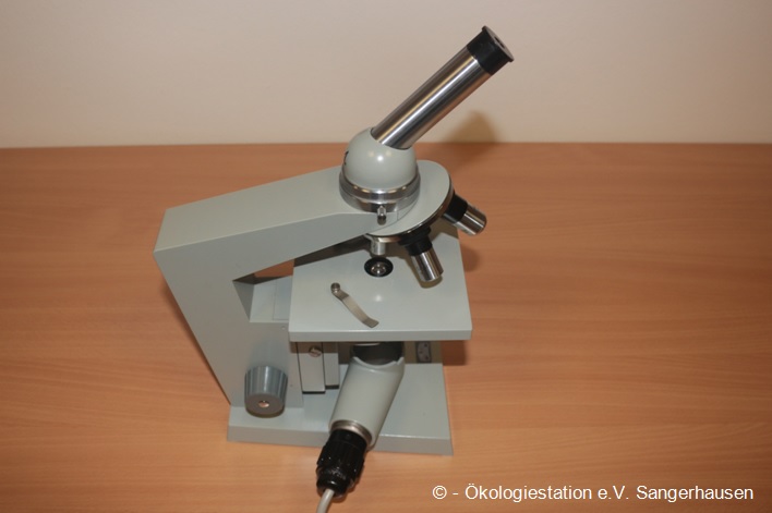 Einführung in das Mikroskop und ausgewählte mikroskopische Betrachtungen.